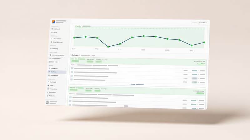Orbit ERP cash flow overview with a twelve week forecast, anonymised